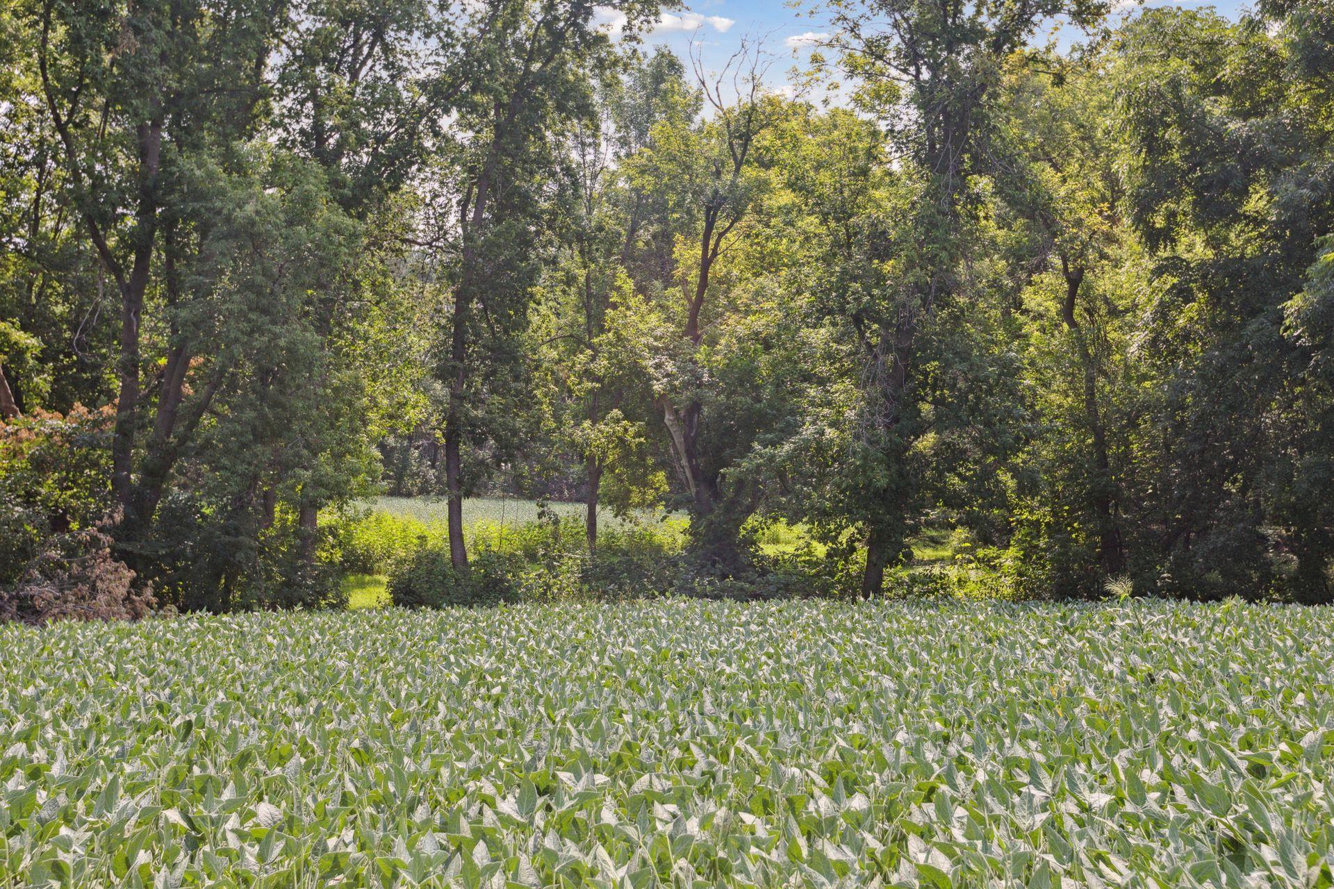 24x3 Holy Name Drive