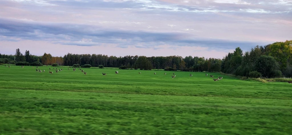 Photo of TBD County Hwy #133, Meadowlands, MN 55765 (MLS # 7155714)