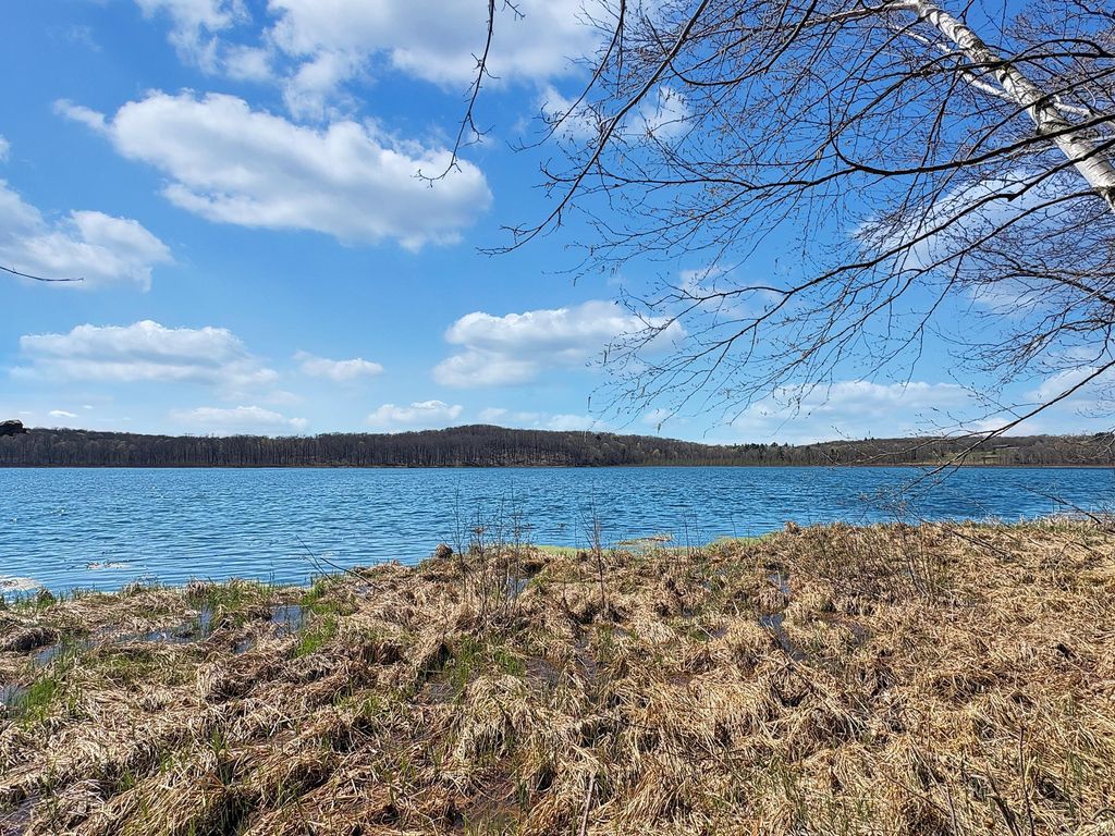 Photo of TBD 85th Street, Frederic, WI 54837 (MLS # 7064122)