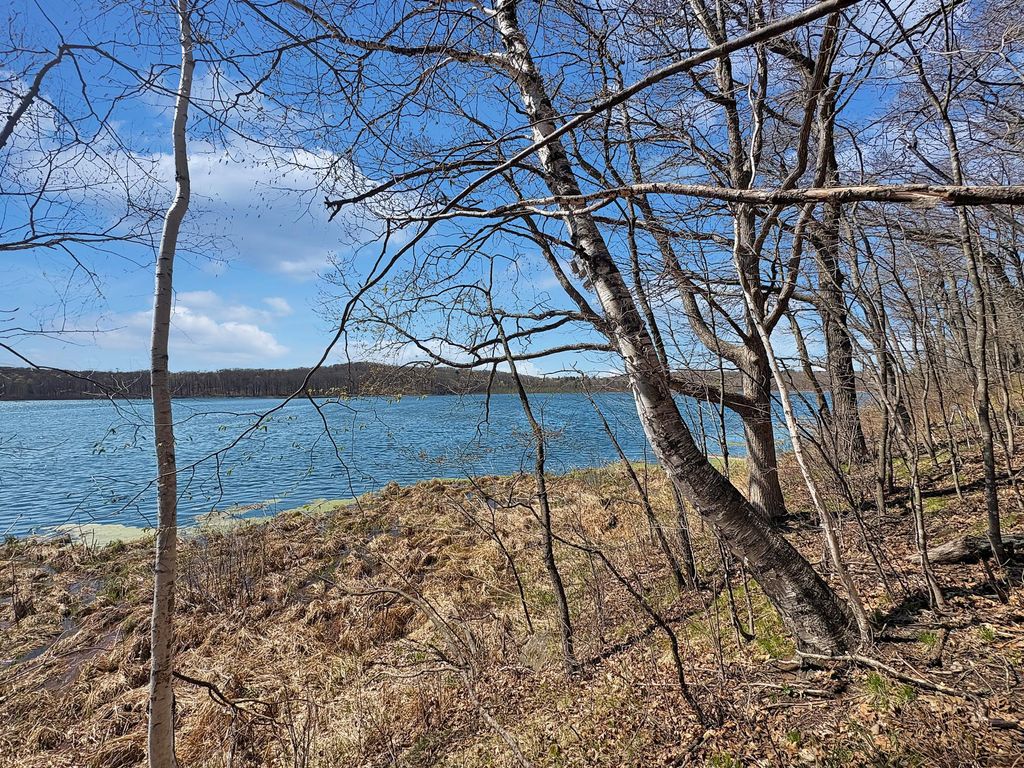 Photo of TBD 85th Street, Frederic, WI 54837 (MLS # 7064122)