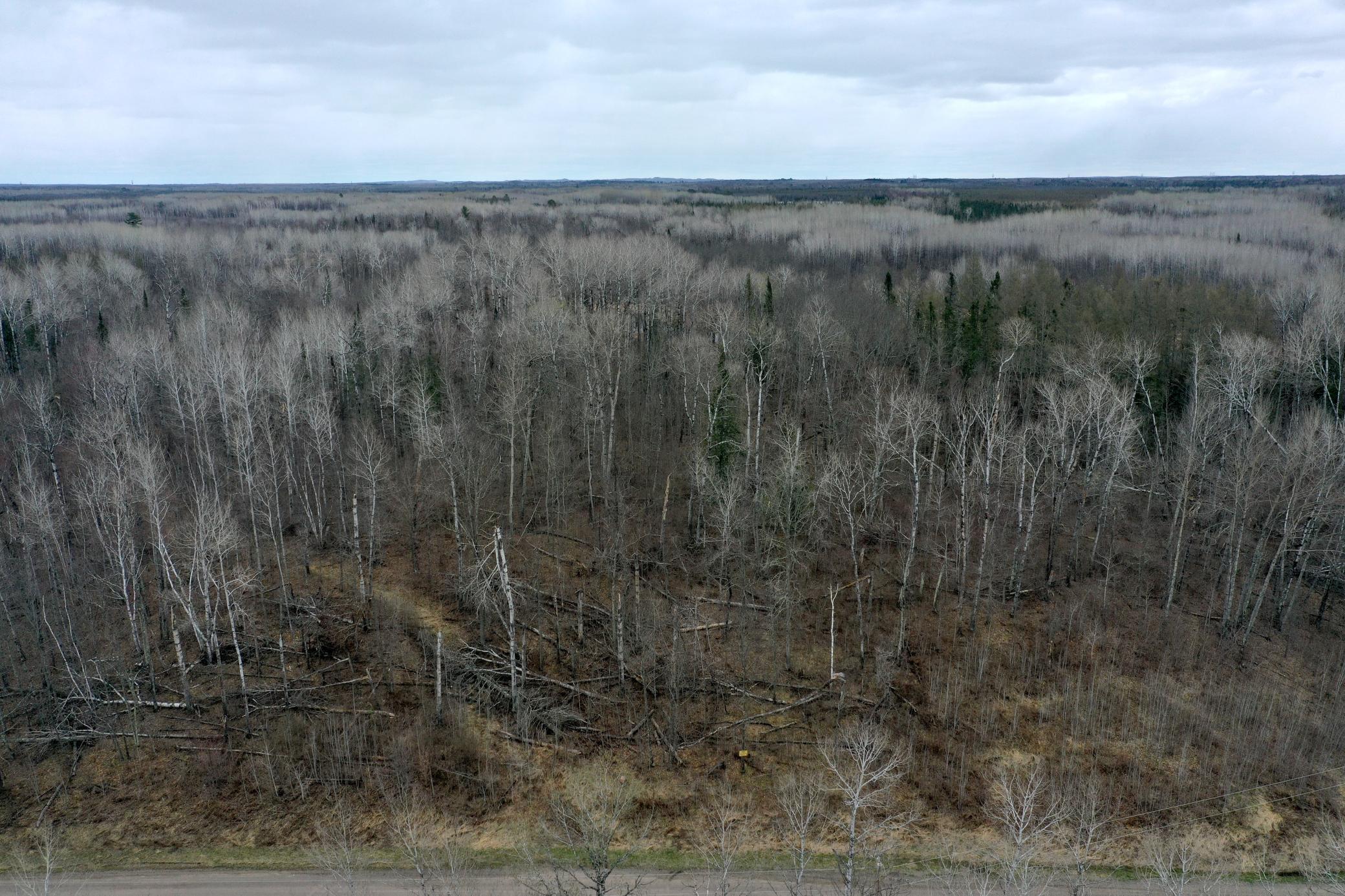 3854 Rasmussen Rd.