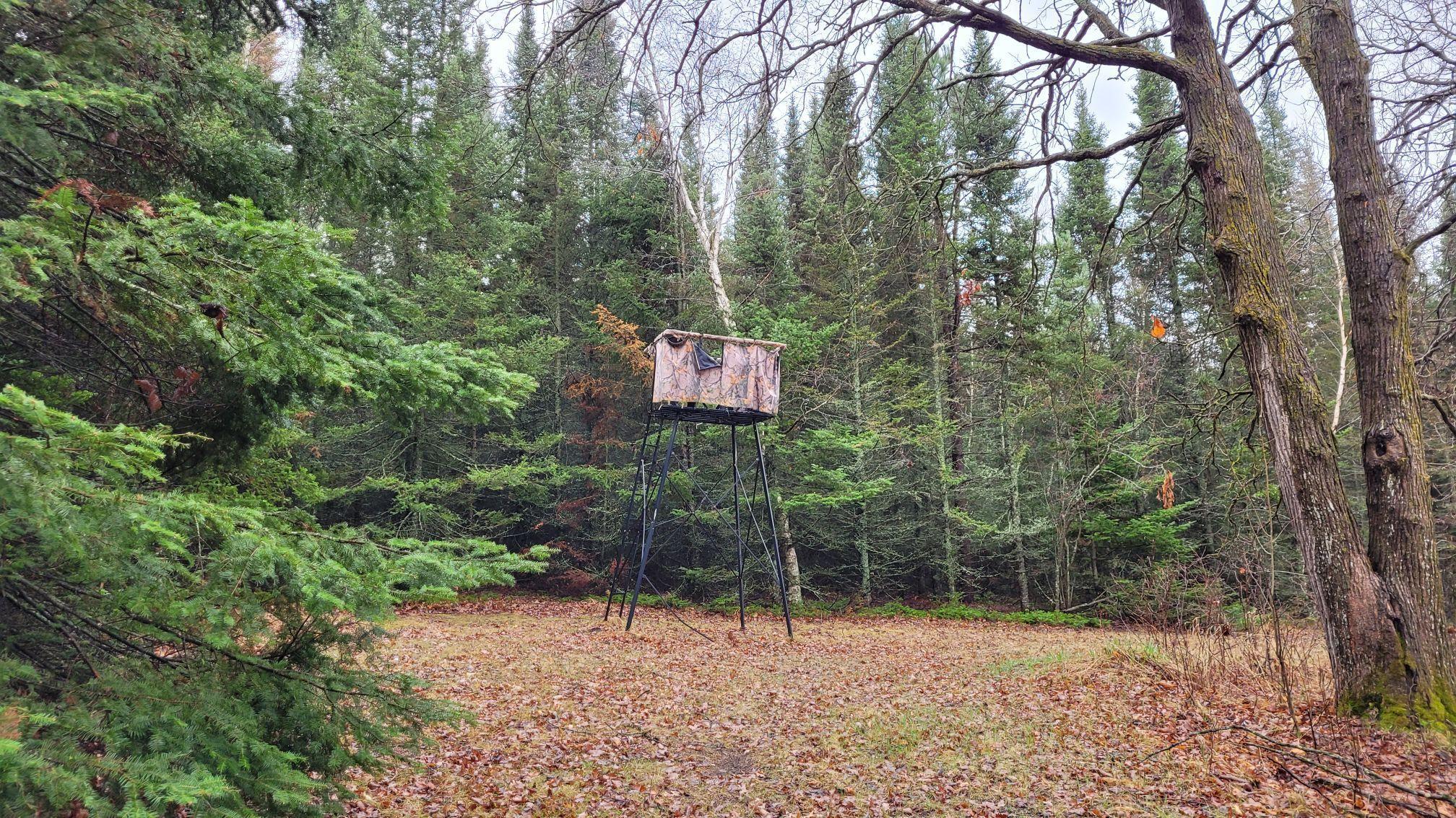 TBD Timber Wolf Trail SW