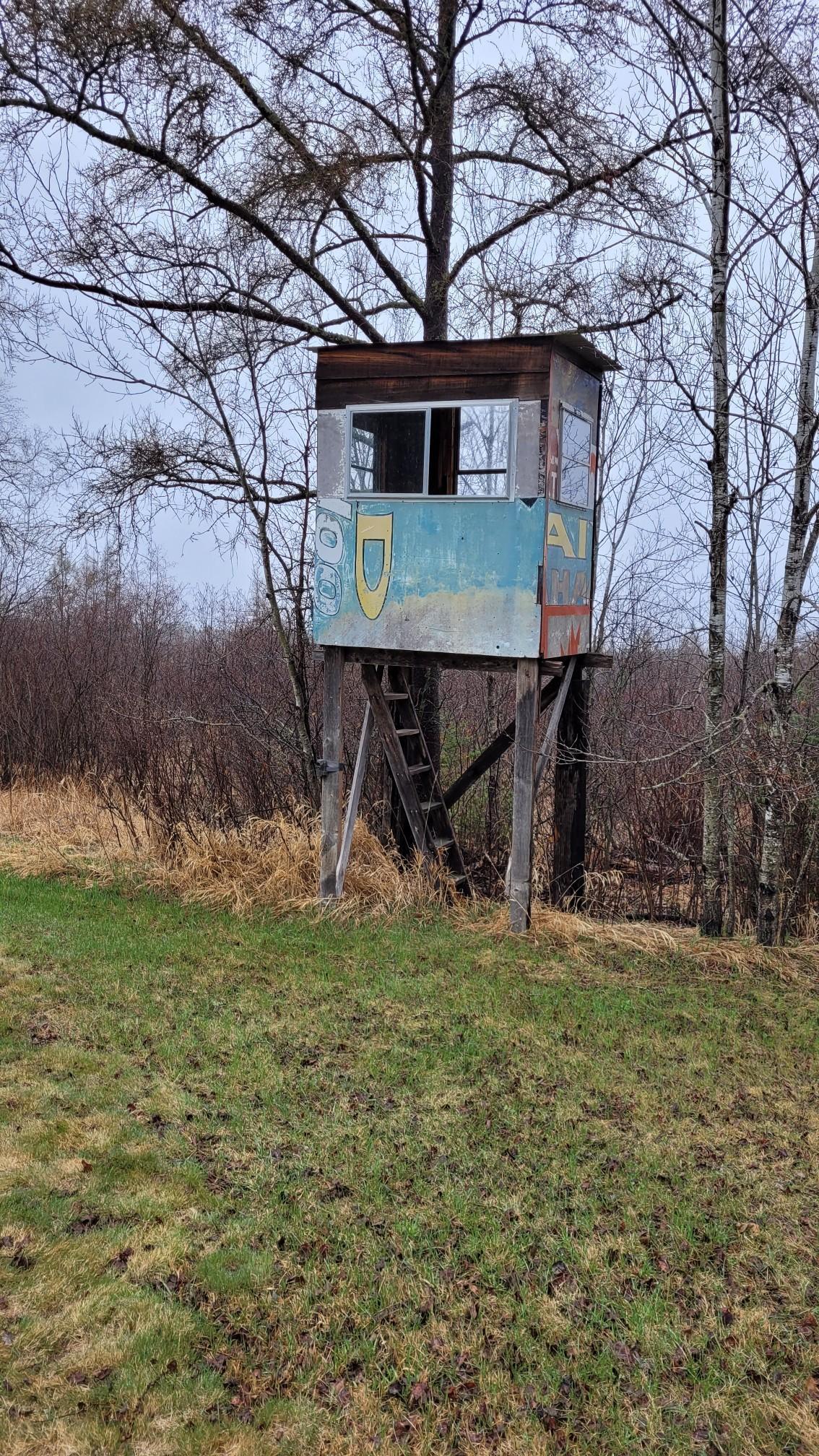 TBD Timber Wolf Trail SW