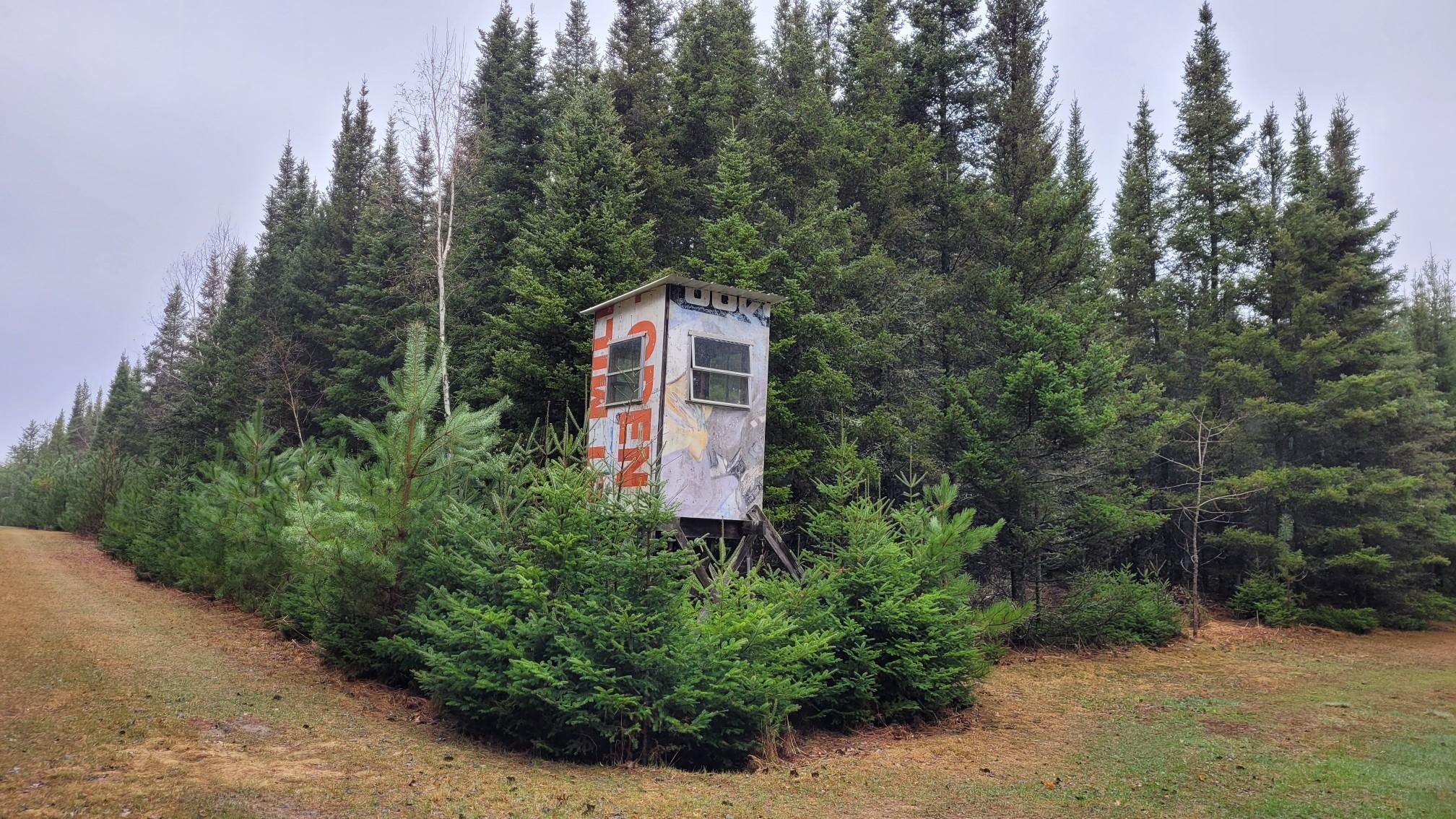 TBD Timber Wolf Trail SW