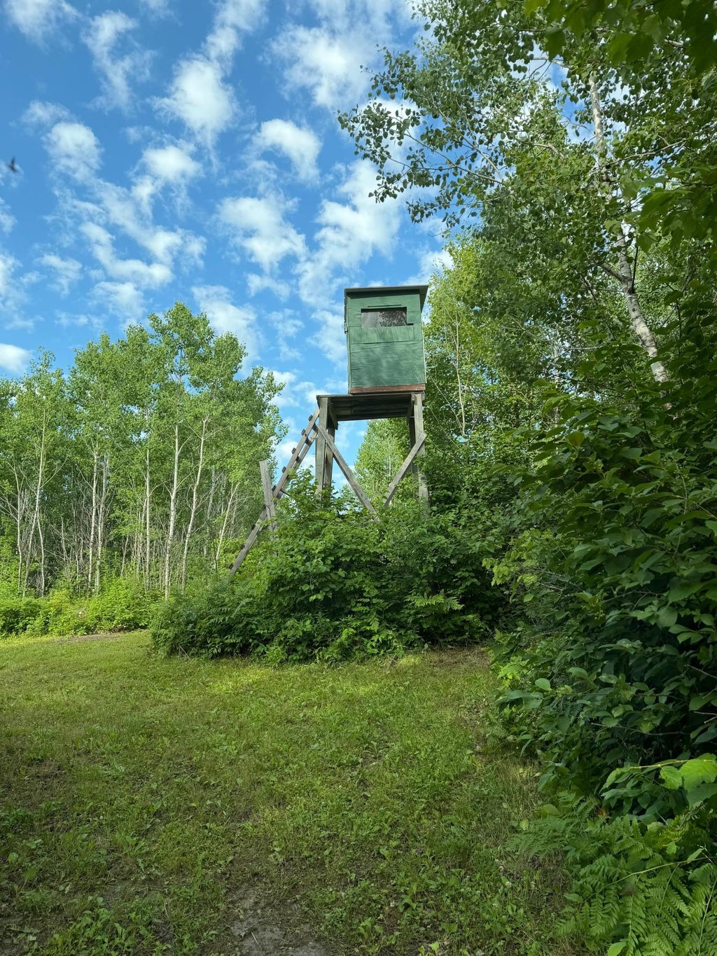 Photo of 000 County Rd 56, Nashwauk, MN 55769 (MLS # 7106090)