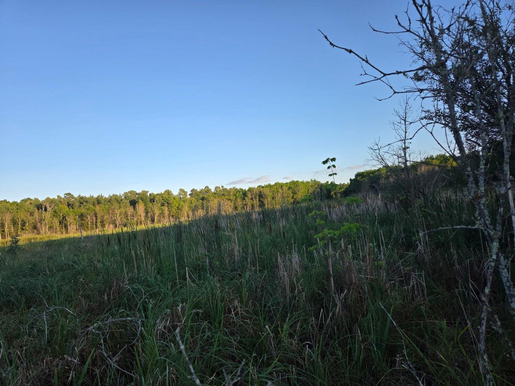 Photo of TBD lot 3 190th Street, Bagley, MN 56621 (MLS # 7131596)