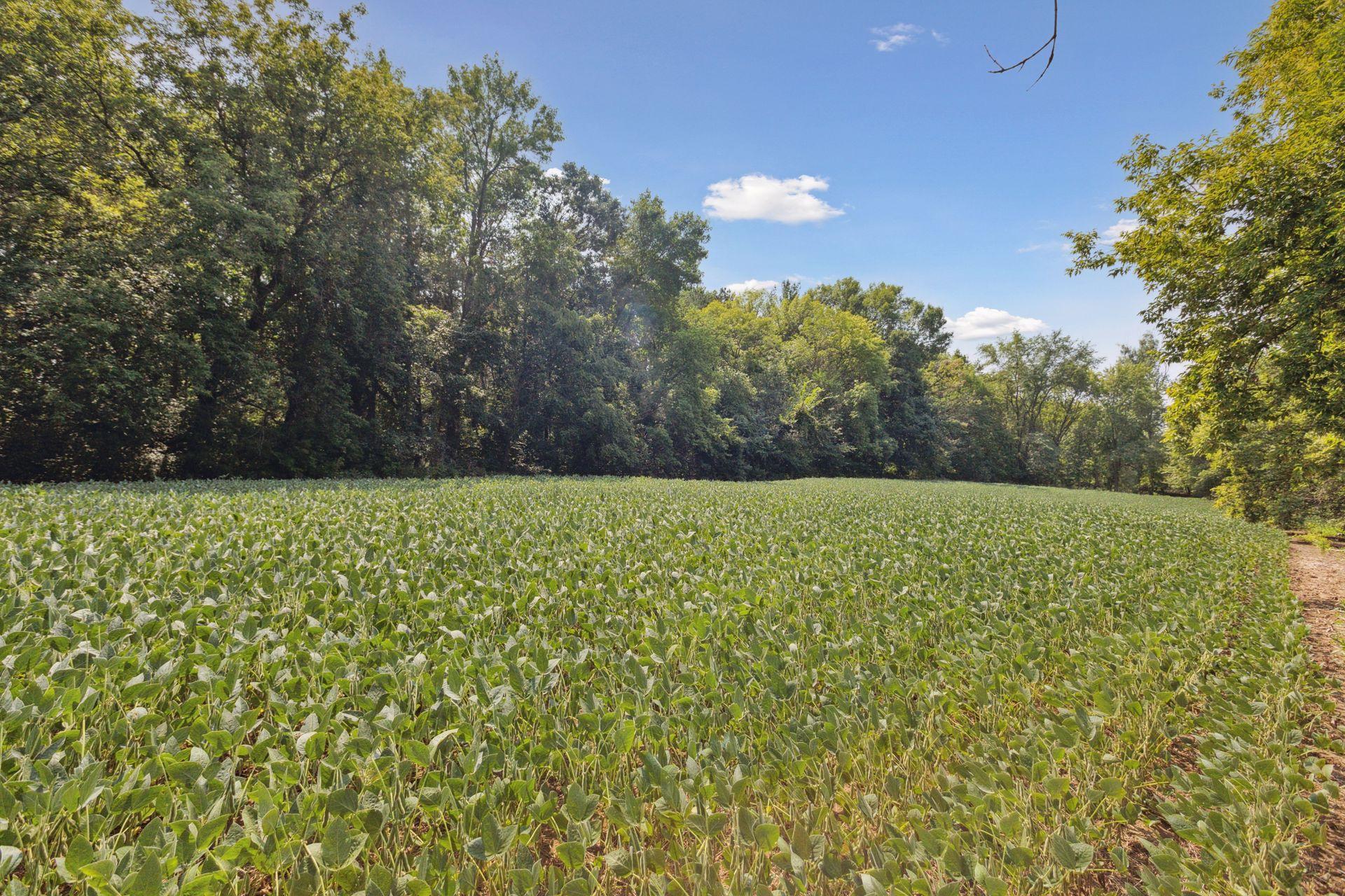 24x1 Holy Name Drive