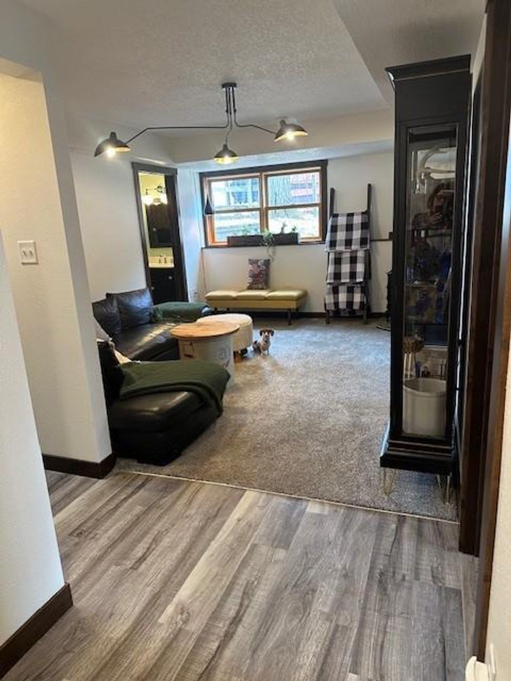 Photo of 820 Wapogasset Lake Lane, Amery, WI 54001 (MLS # 7035462)