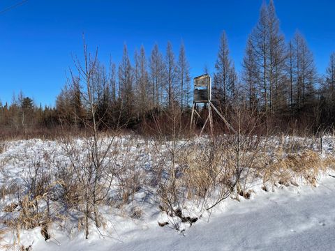 508 Cedar Valley RD Cedar Valley Twp MN 55736