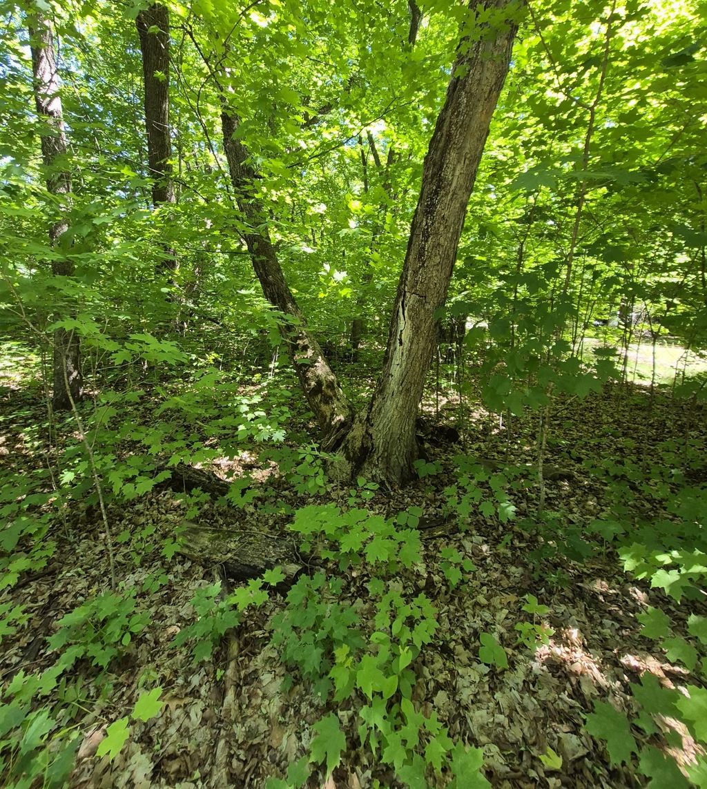 Photo of TBD Lot 309 197th Avenue, McGregor, MN 55760 (MLS # 7092473)