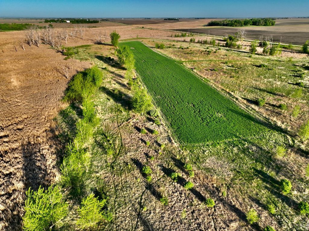 Photo of TBD County Highway 14, Madison, MN 56256 (MLS # 7014362)