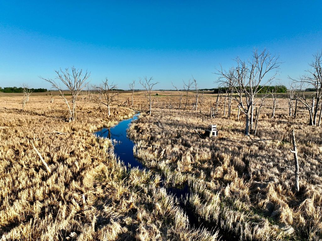 Photo of TBD County Highway 14, Madison, MN 56256 (MLS # 7014362)
