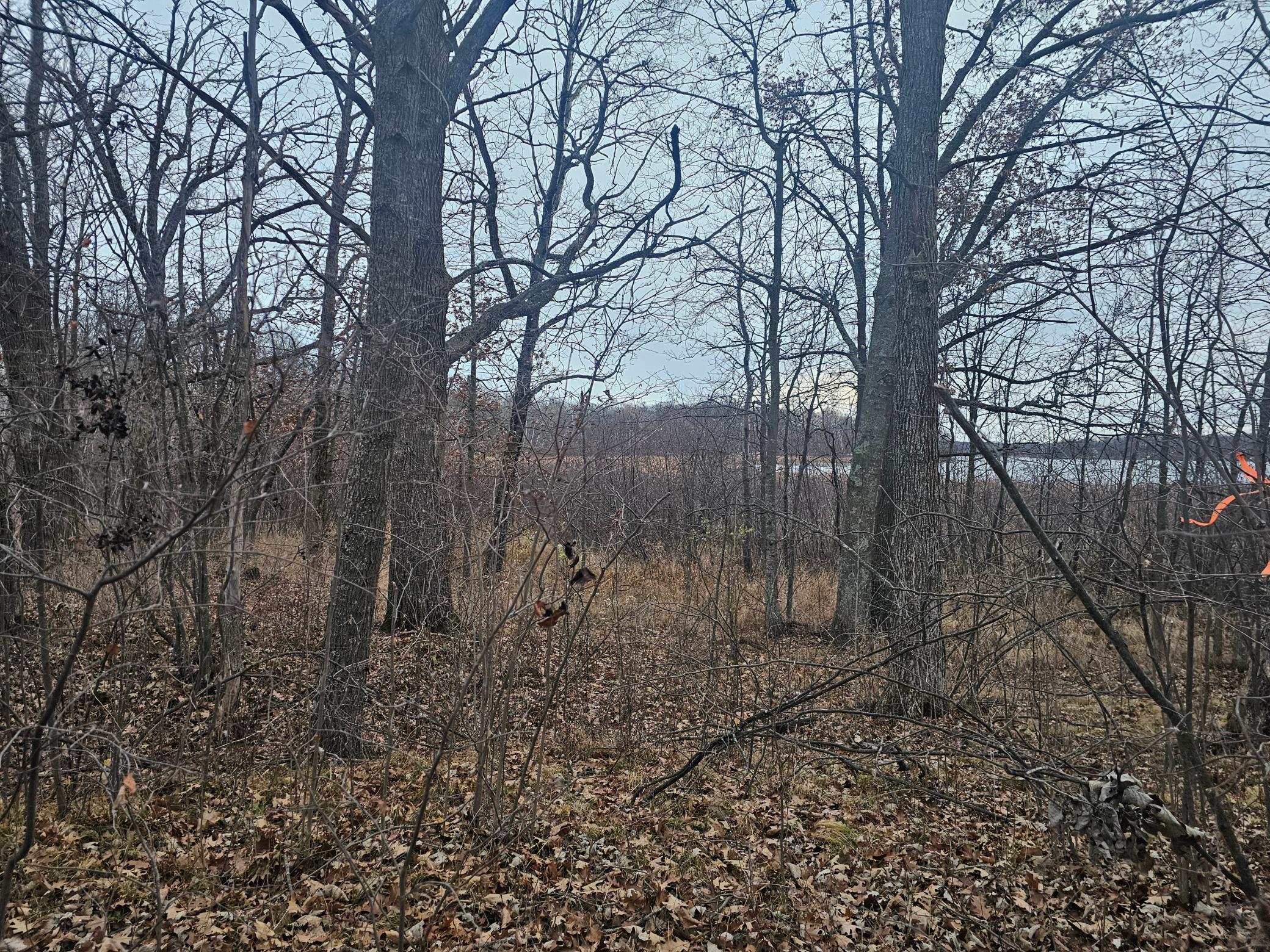 TBD County Road 30