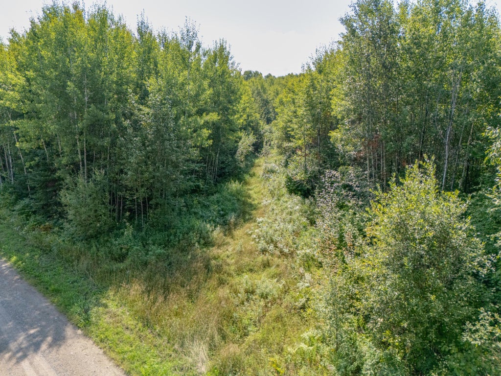 Photo of TBD County Rd 523, Effie, MN 56639 (MLS # 7134428)