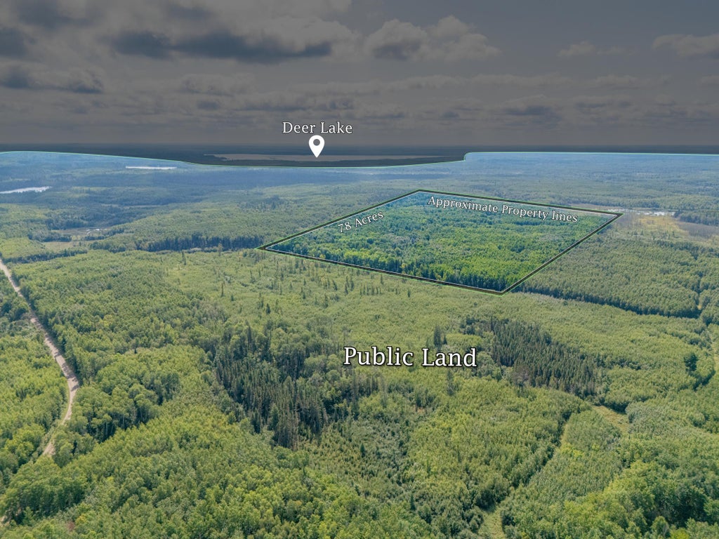 Photo of TBD County Rd 523, Effie, MN 56639 (MLS # 7134428)