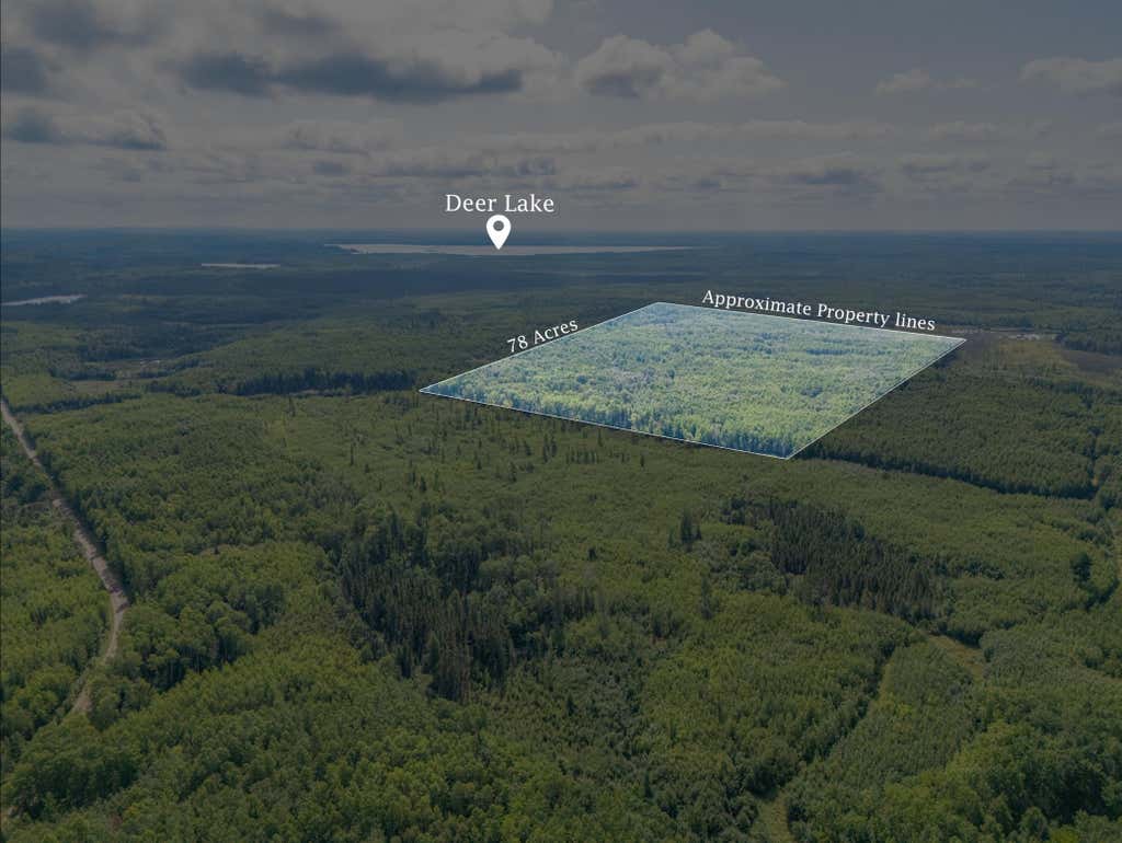 Photo of TBD County Rd 523, Effie, MN 56639 (MLS # 7134428)