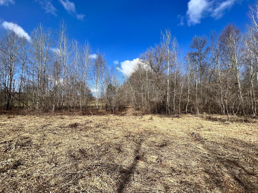 Photo of TBD 15th Ave Lot 3, Deer Park, WI 54007 (MLS # 7007747)