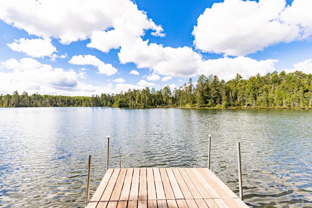 Photo of 10401 Gunsten Lake Drive, Isabella, MN 55607 (MLS # 7138697)
