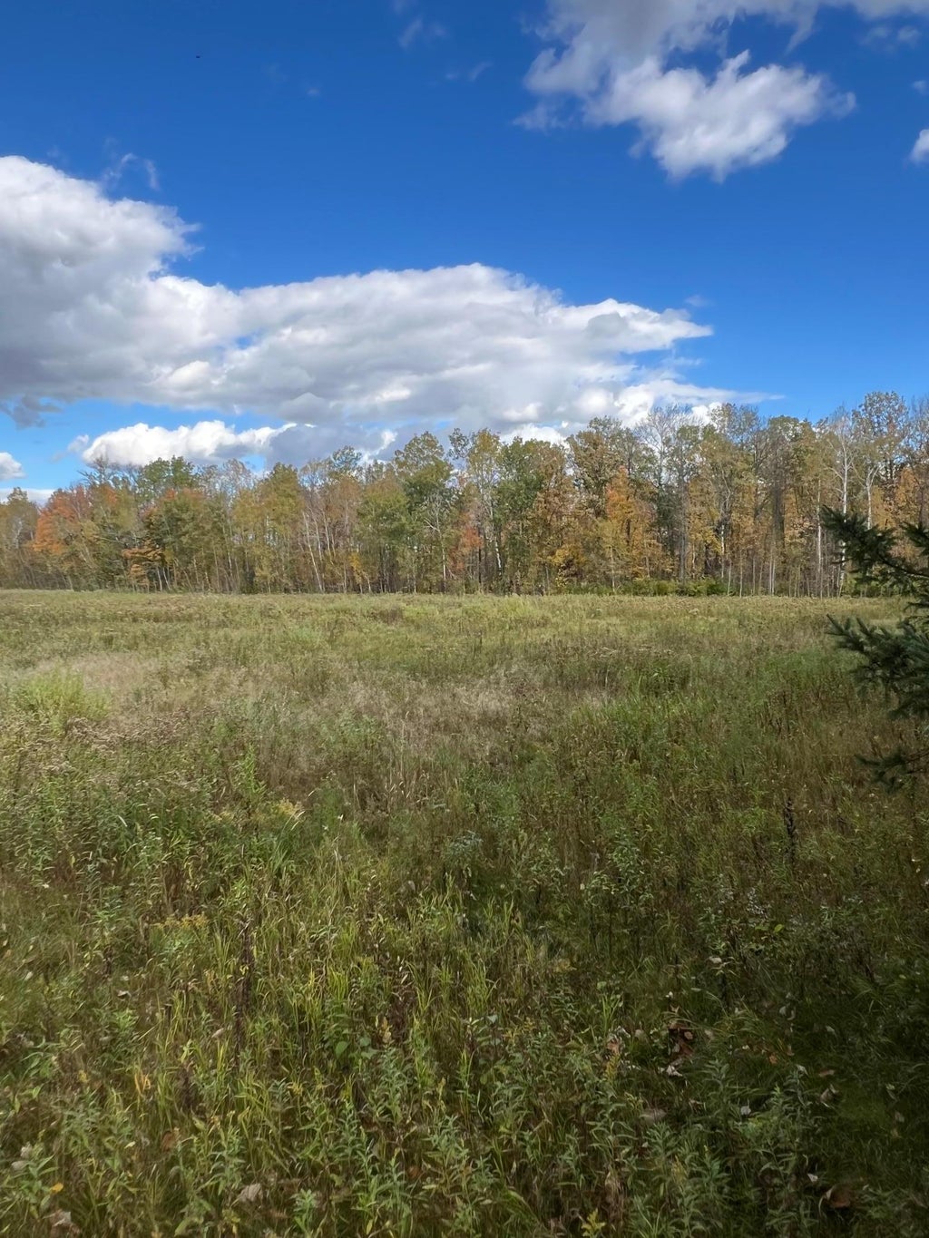 Photo of xxx County Rd 1, Emily, MN 56447 (MLS # 7162514)