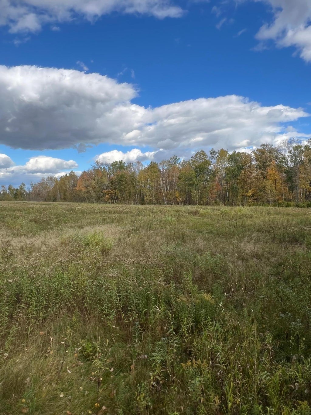 Photo of xxx County Rd 1, Emily, MN 56447 (MLS # 7162514)