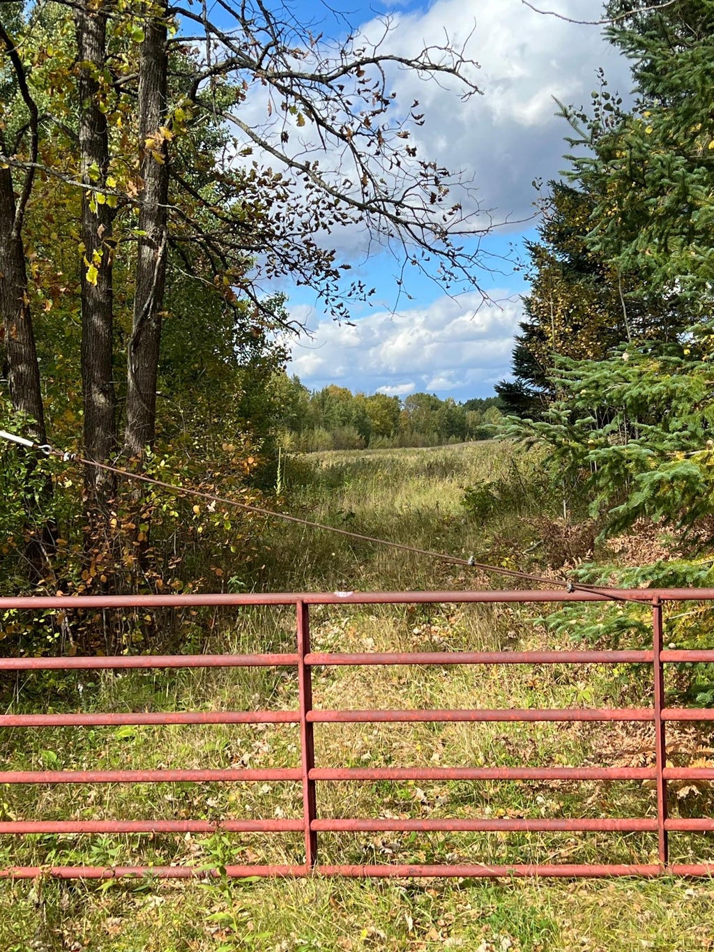 Photo of xxx County Rd 1, Emily, MN 56447 (MLS # 7162514)