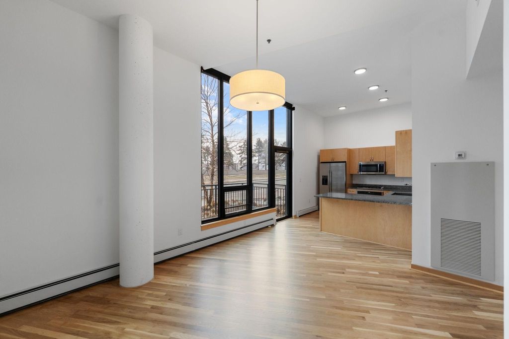 Photo of 1240 S 2nd Street #124, Minneapolis, MN 55415 (MLS # 7020957)