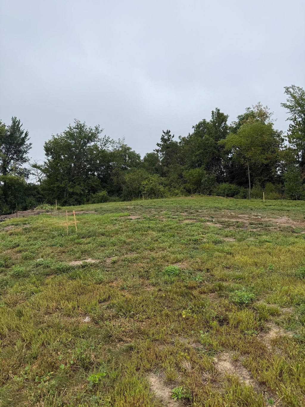 Photo of 749 Ensconced Way, Chaska, MN 55318 (MLS # 7136465)