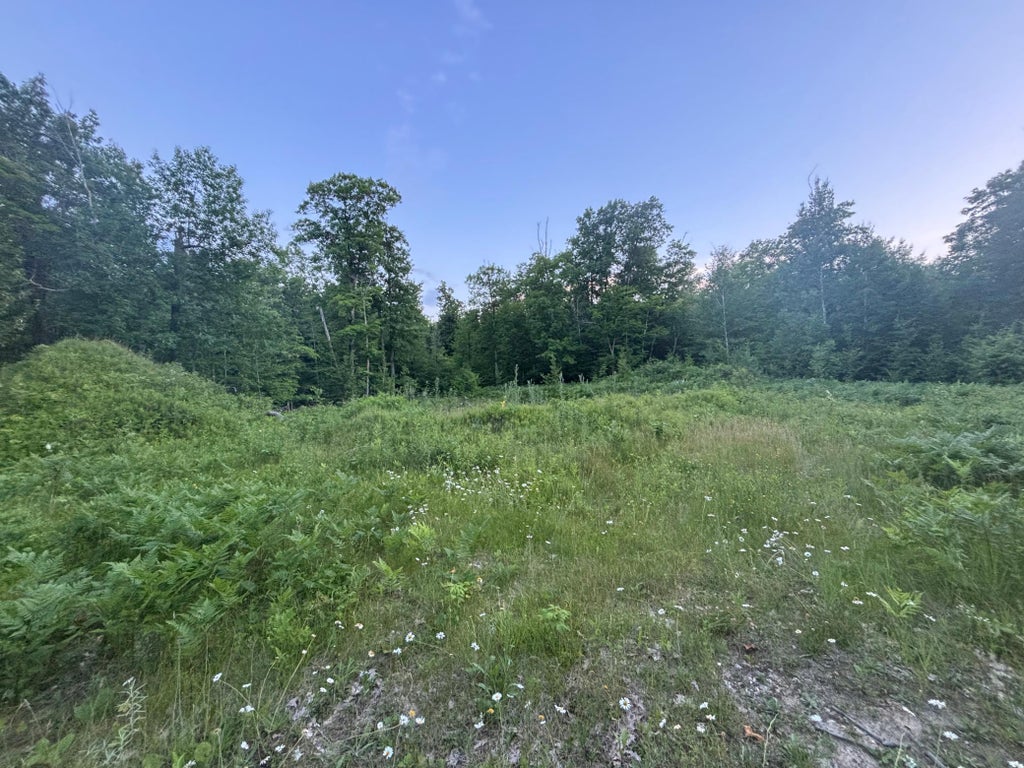 Photo of 39987 Cass Line Road, Laporte, MN 56461 (MLS # 7104200)