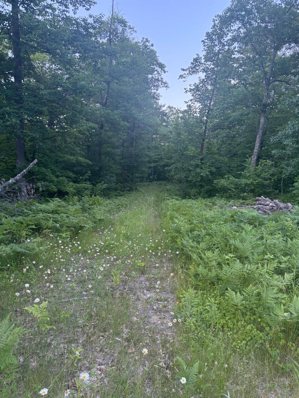 Photo of 39987 Cass Line Road, Laporte, MN 56461 (MLS # 7104200)