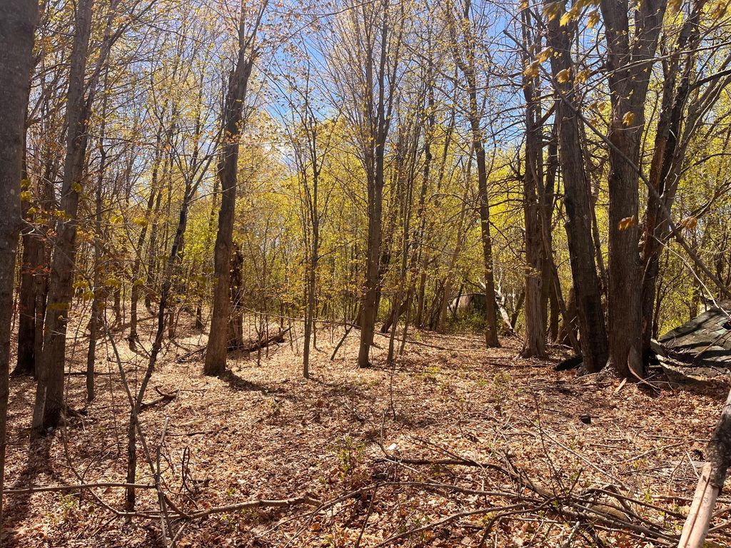 Photo of 812 300th Ave, Frederic, WI 54837 (MLS # 7071685)