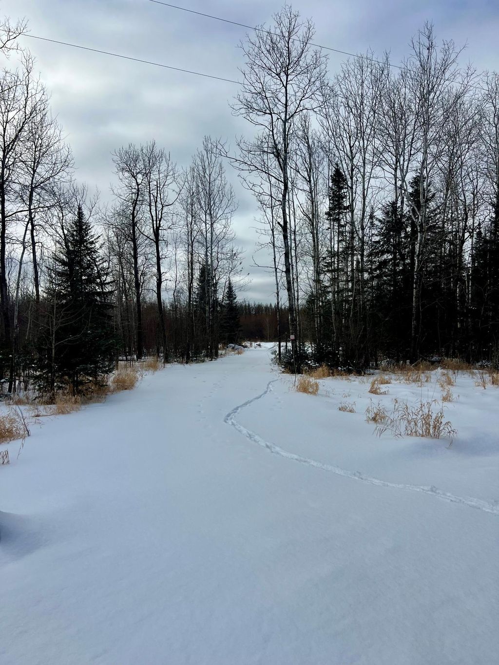 Photo of 8624 Zim Road, Forbes, MN 55738 (MLS # 7016000)