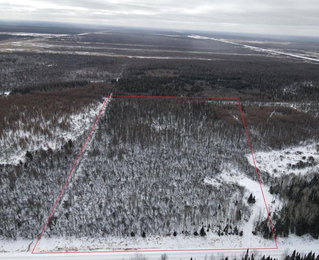 Photo of 8624 Zim Road, Forbes, MN 55738 (MLS # 7016000)