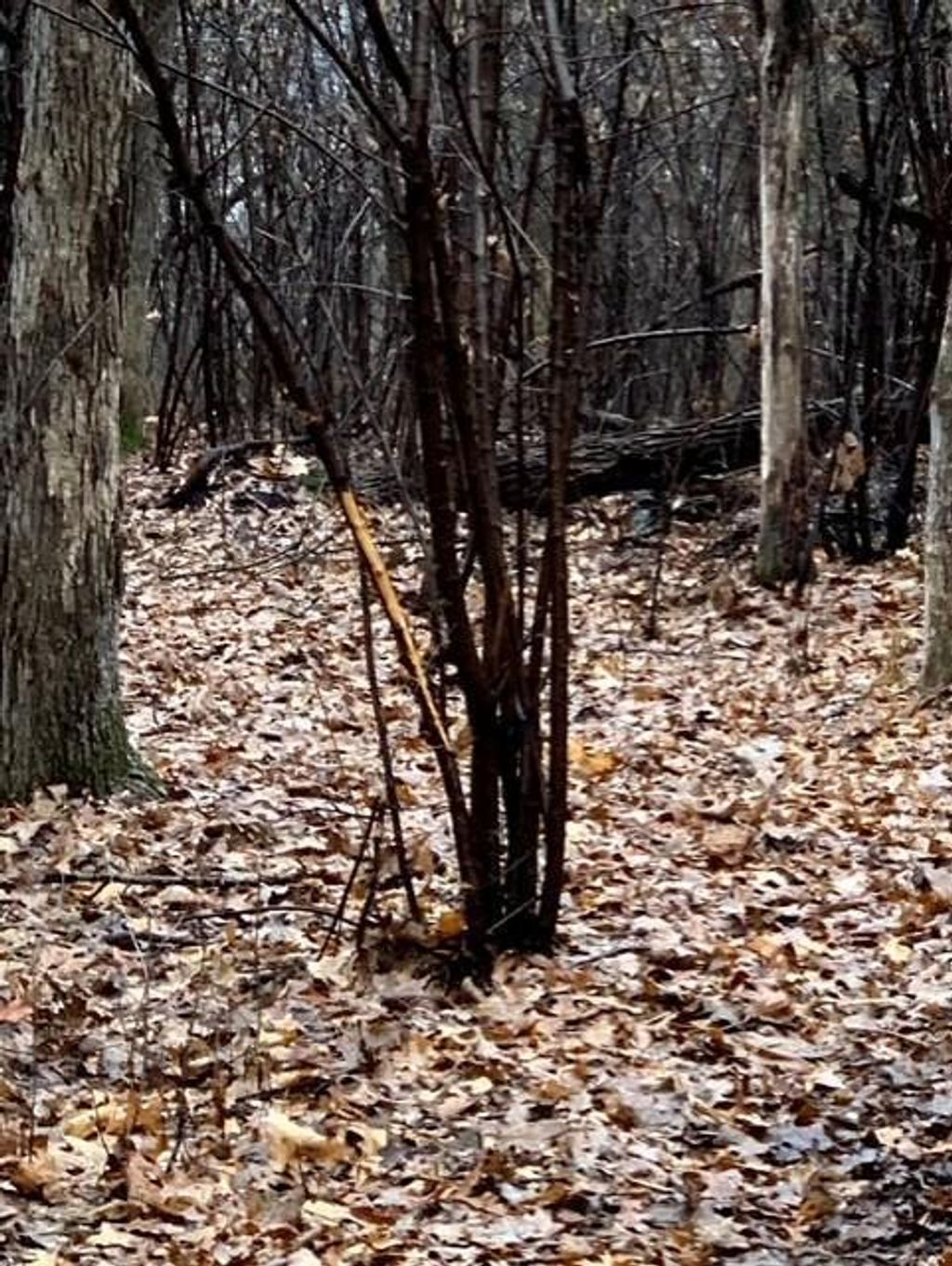 Photo of 32107 County 45 Boulevard, Red Wing, MN 55066 (MLS # 7005273)