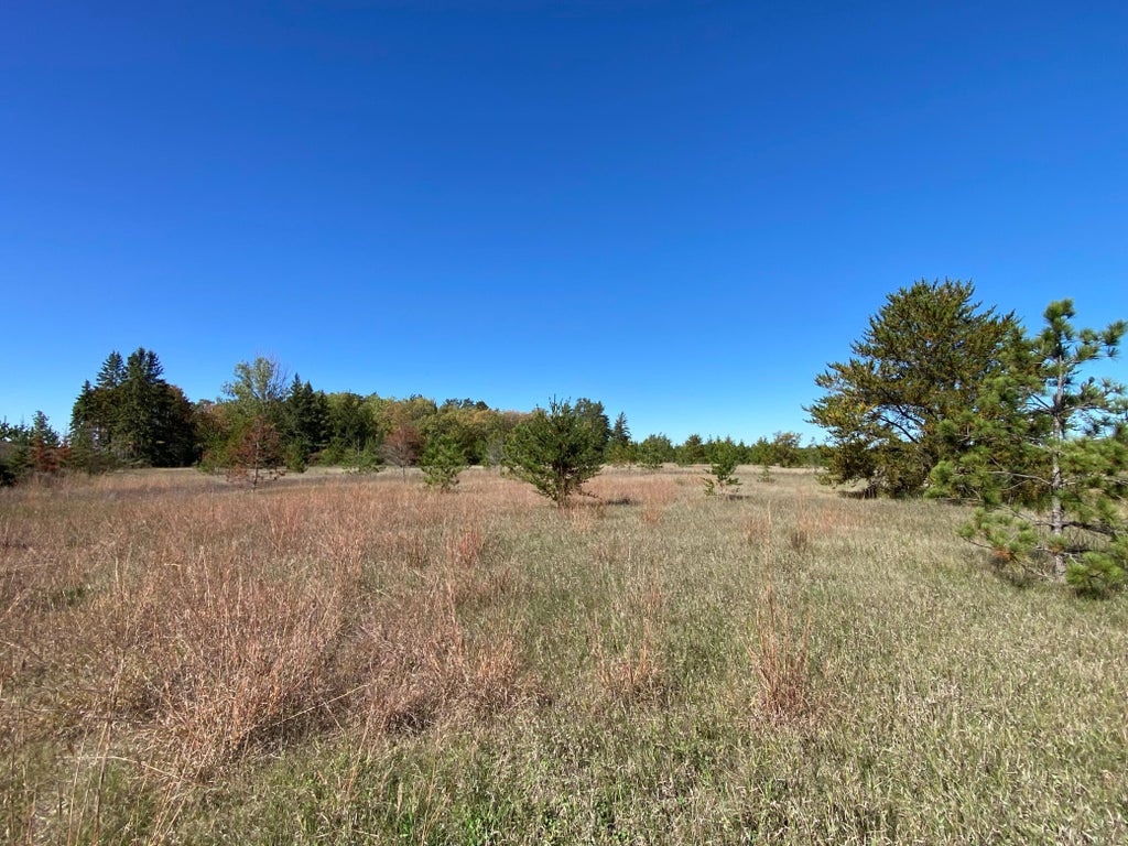 Photo of TBD State Hwy 87 - Lot 2, Park Rapids, MN 56470 (MLS # 7153271)