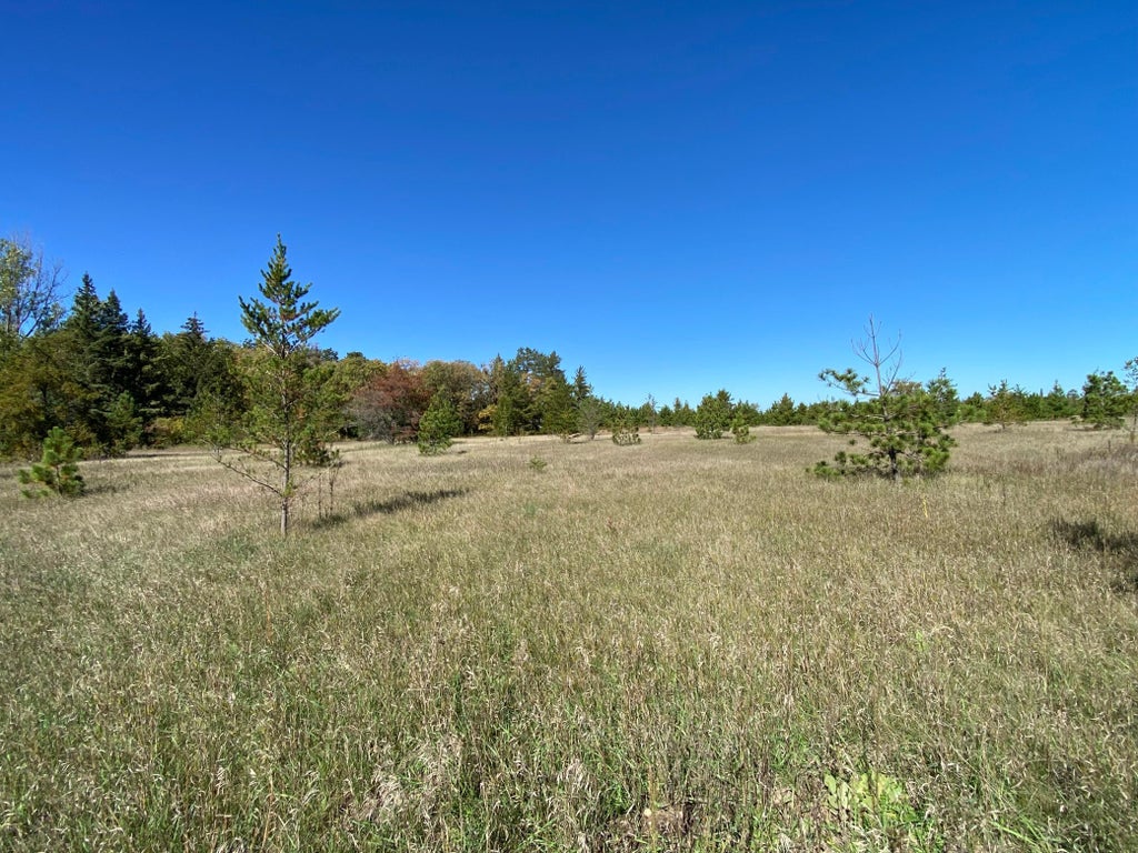 Photo of TBD State Hwy 87 - Lot 2, Park Rapids, MN 56470 (MLS # 7153271)