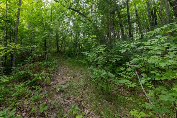 ADDRESS PRIVATE, BRAINERD, MN 56401 - Image 6277a4e593724ae23121bf20fa92a4da/1983960724