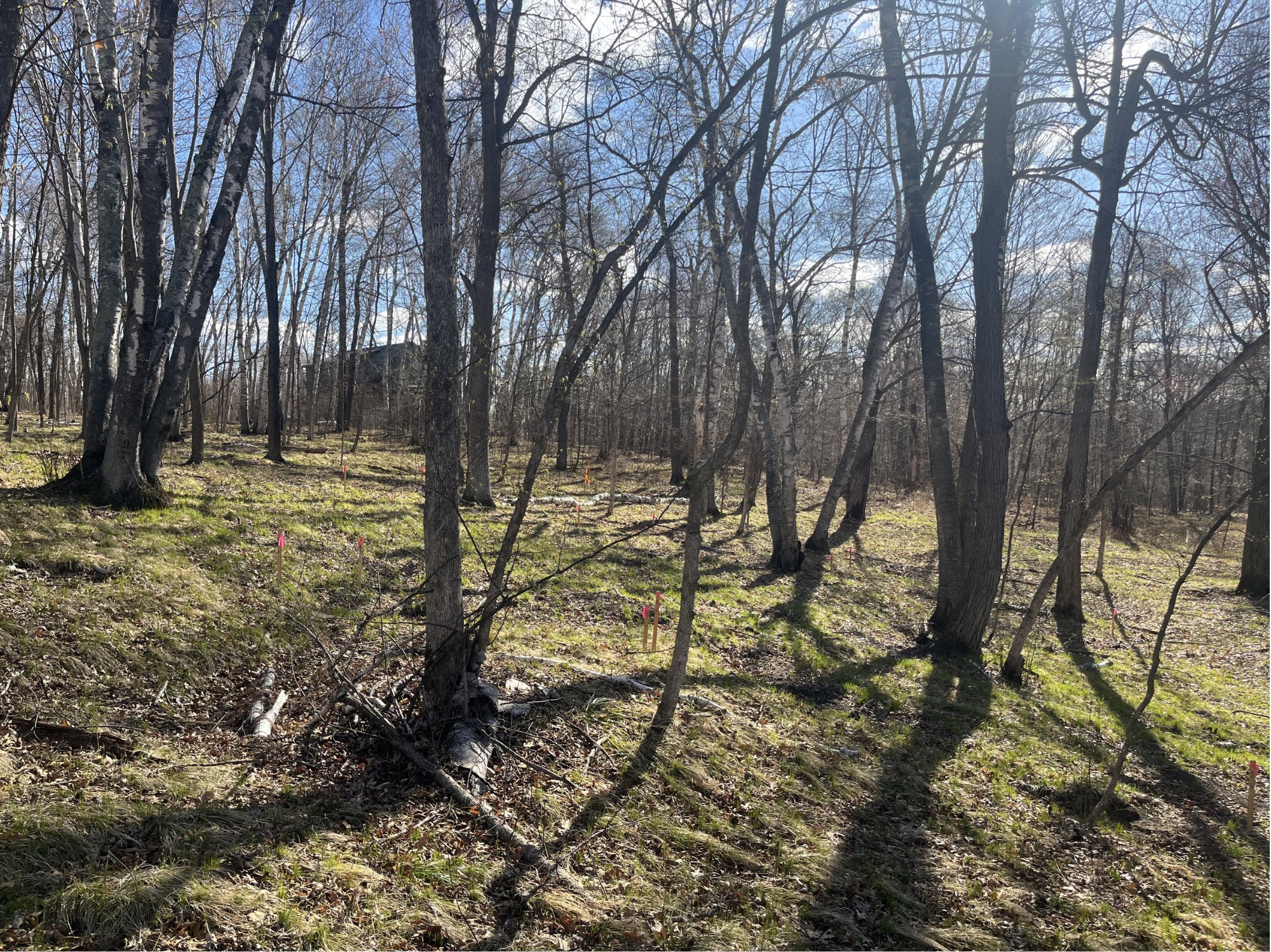 TBD Wilderness Parkway