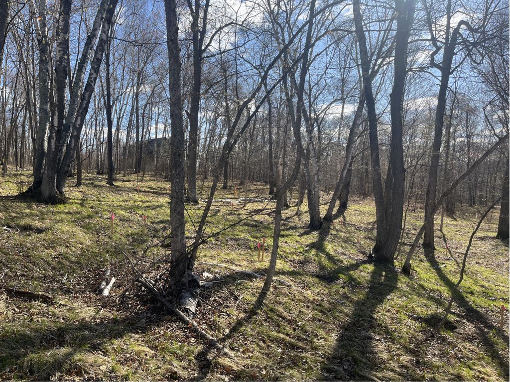 Photo of TBD Wilderness Parkway, Crosslake, MN 56442 (MLS # 7063503)