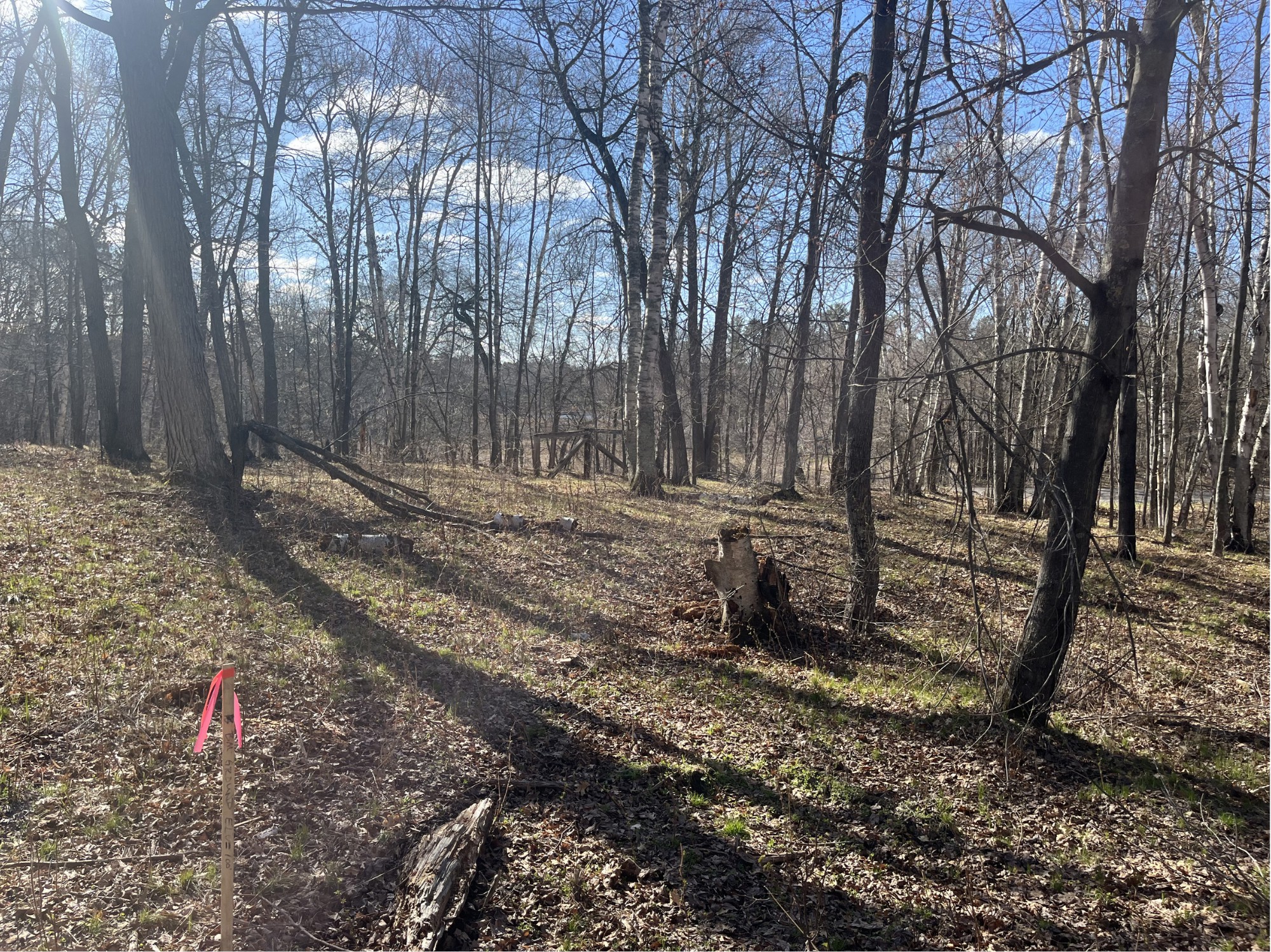 TBD Wilderness Parkway