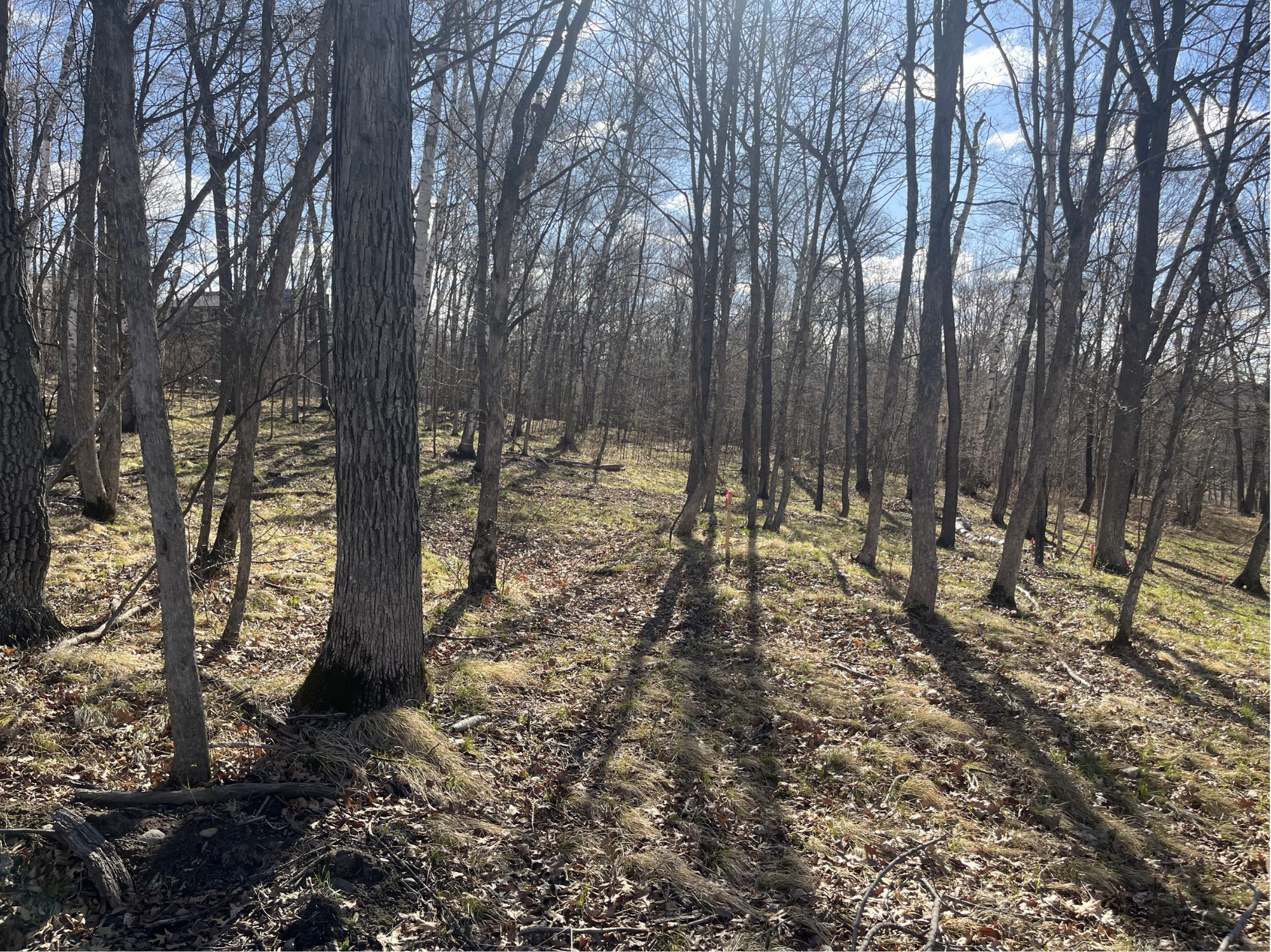 TBD Wilderness Parkway