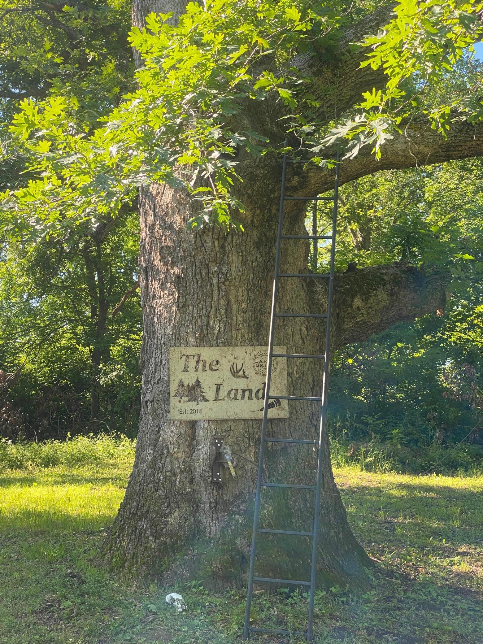 27333 Deep River Road