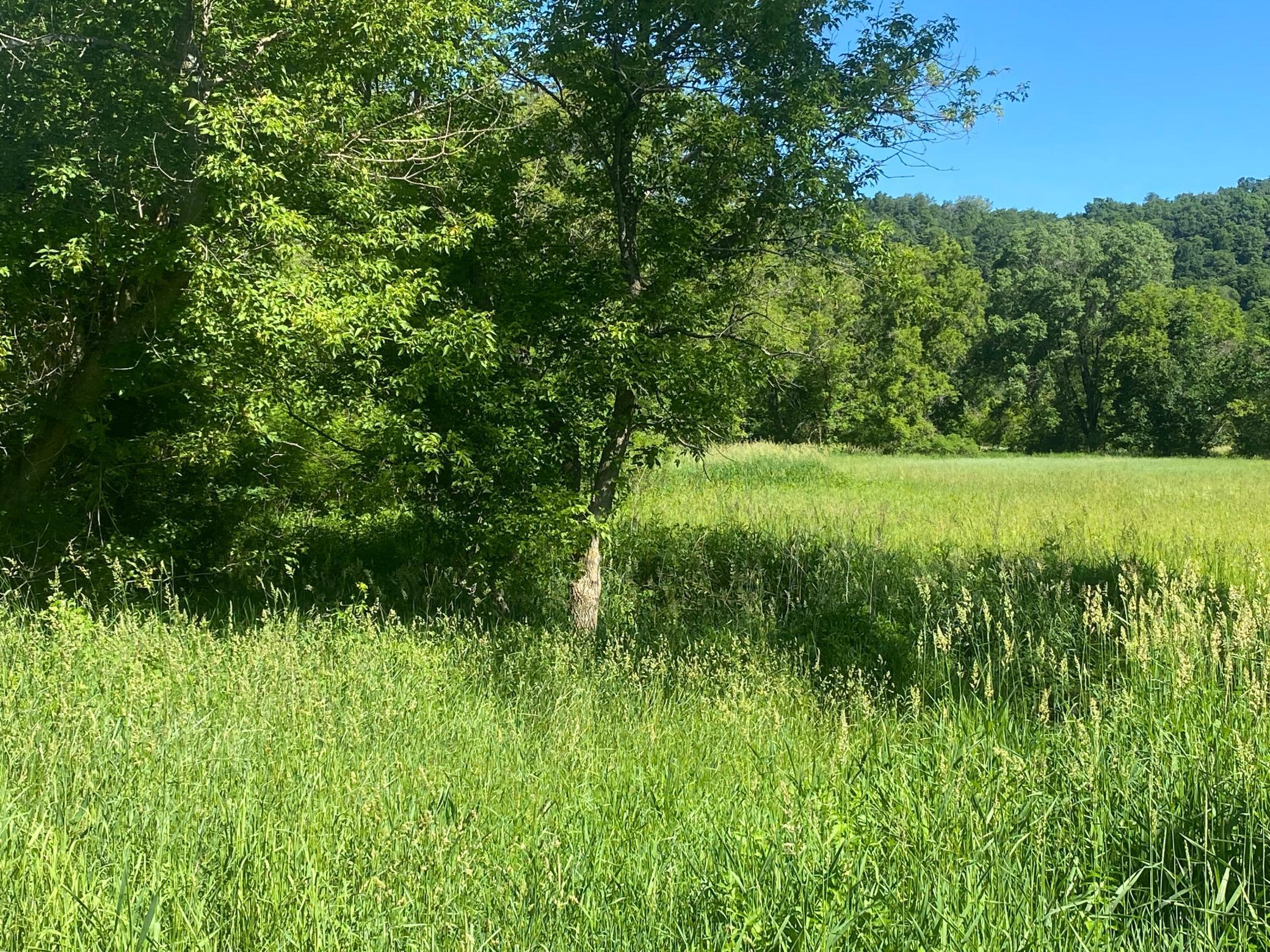 27333 Deep River Road