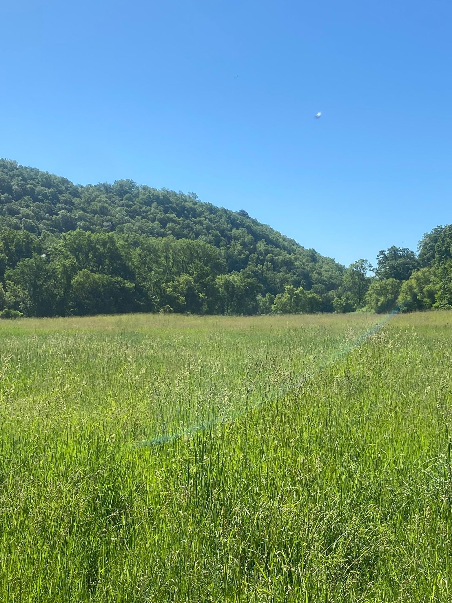 27333 Deep River Road