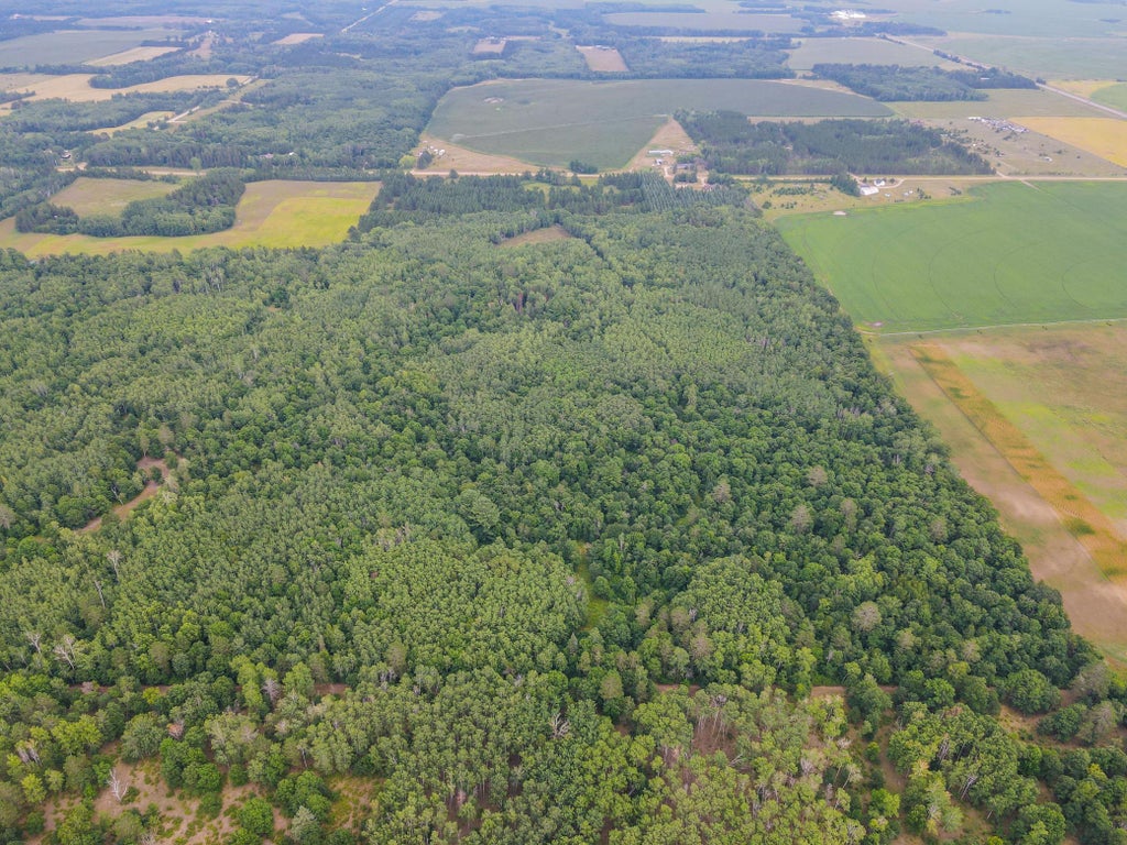 Photo of TBD County Road 125, Park Rapids, MN 56470 (MLS # 7122158)