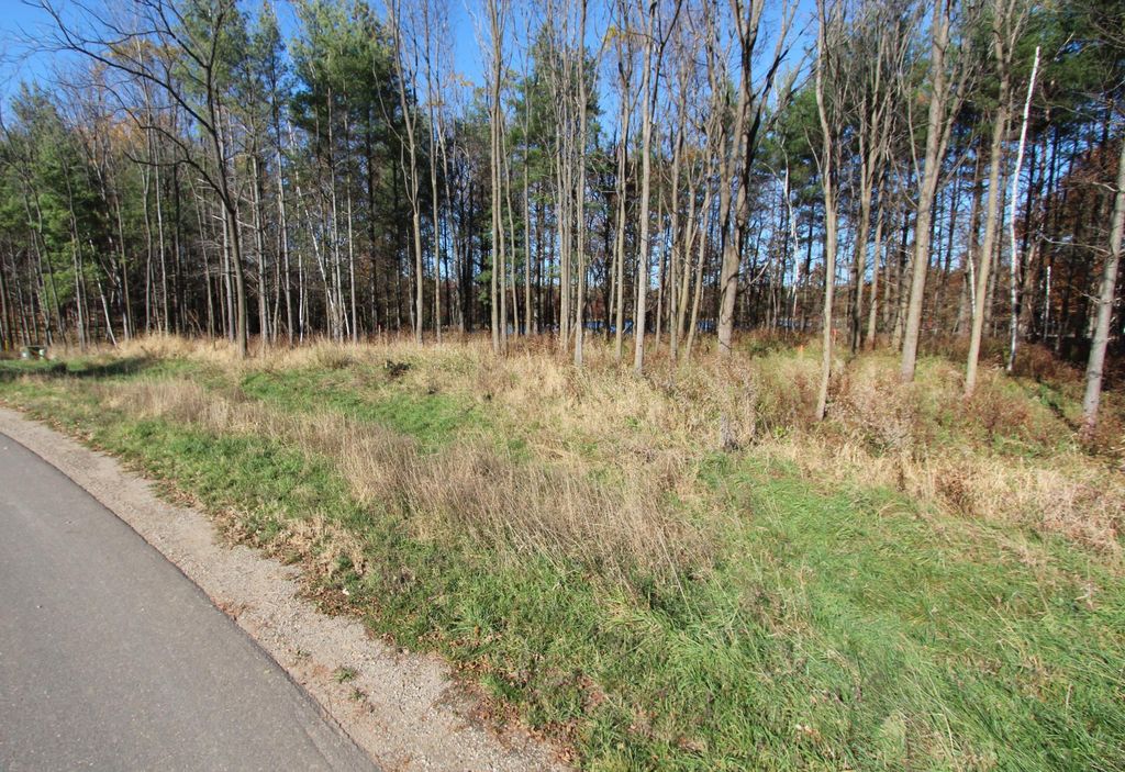 Photo of 19193 Meadowridge Trail N, Marine On Saint Croix, MN 55047 (MLS # 7001000)