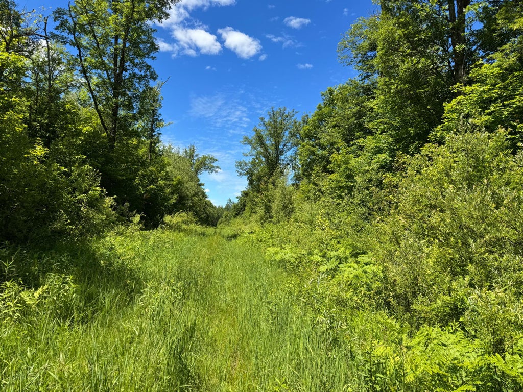 Photo of TBD 300th Lane, McGregor, MN 55760 (MLS # 7098491)
