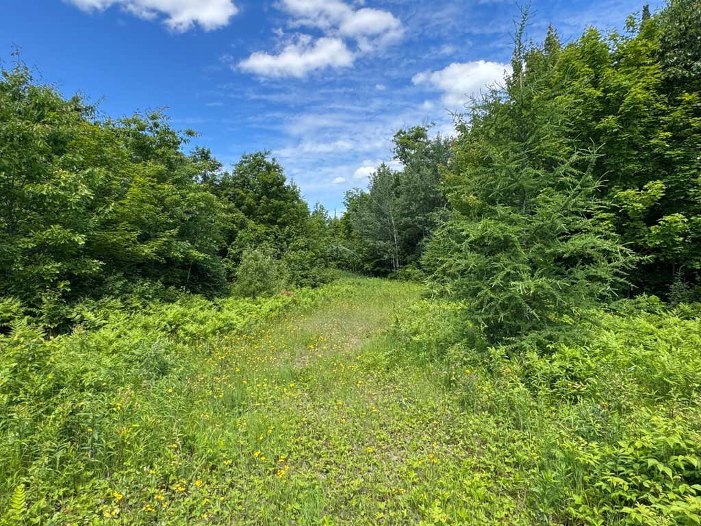 Photo of TBD 300th Lane, McGregor, MN 55760 (MLS # 7098491)