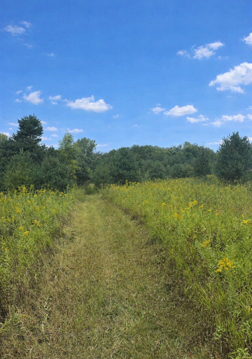 Photo of xxxx Jeffrey Boulevard, Grant, MN 55082 (MLS # 7098507)