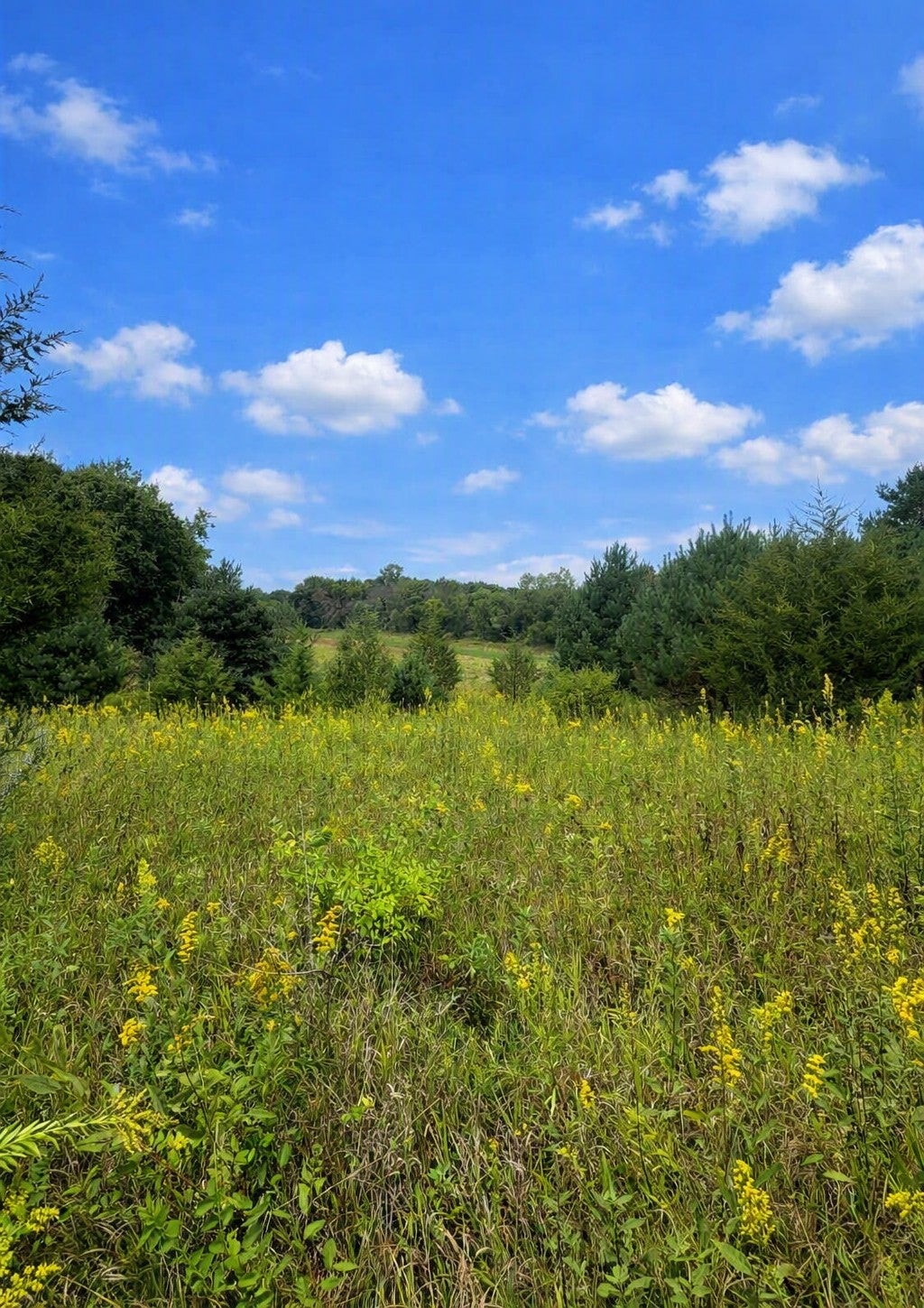 Photo of xxxx Jeffrey Boulevard, Grant, MN 55082 (MLS # 7098507)