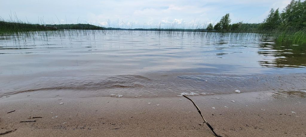 Photo of 50511 Evergreen Point Road, Marcell, MN 56657 (MLS # 7055666)